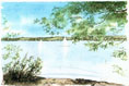 Am Starnberger See - Kurs-Thema Landschaften bei Gabi Cegla (Zeitungsausschnitt-Vorlage)  (Bild 72)