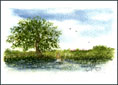 Angler am See  April 2001 - Minibild - Phantasiebild   (Bild 41)