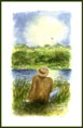 Mann am See - Minibild März 2001 - Phantasiebild   (Bild 36)